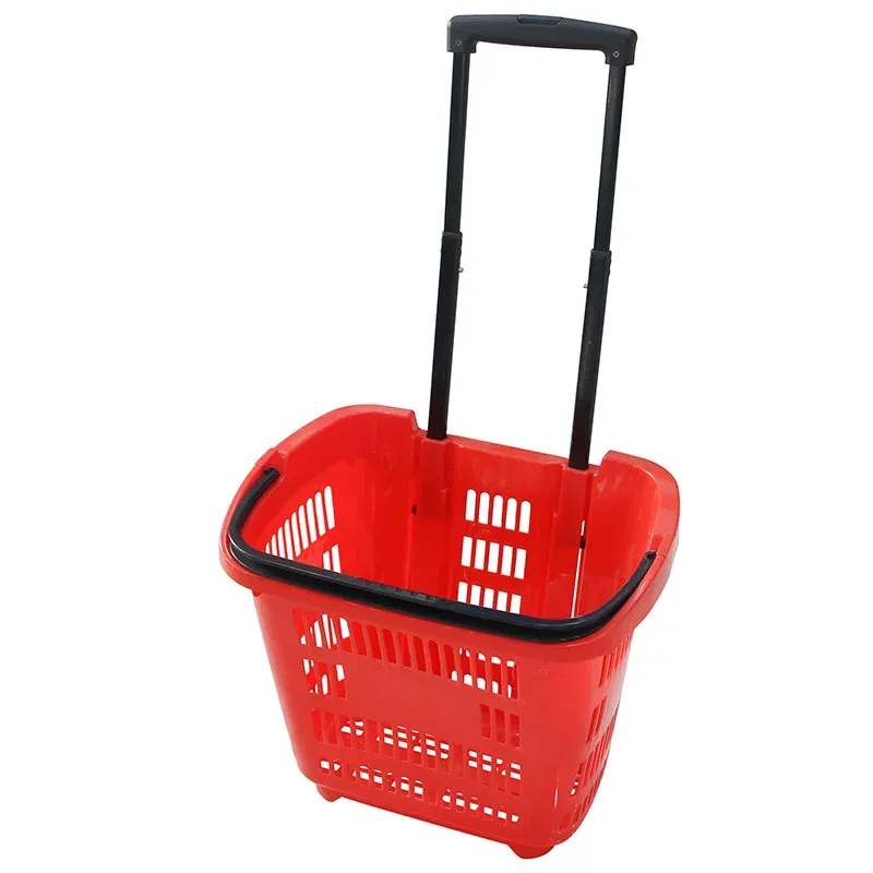 Supermarket Shopping Trolley with Two