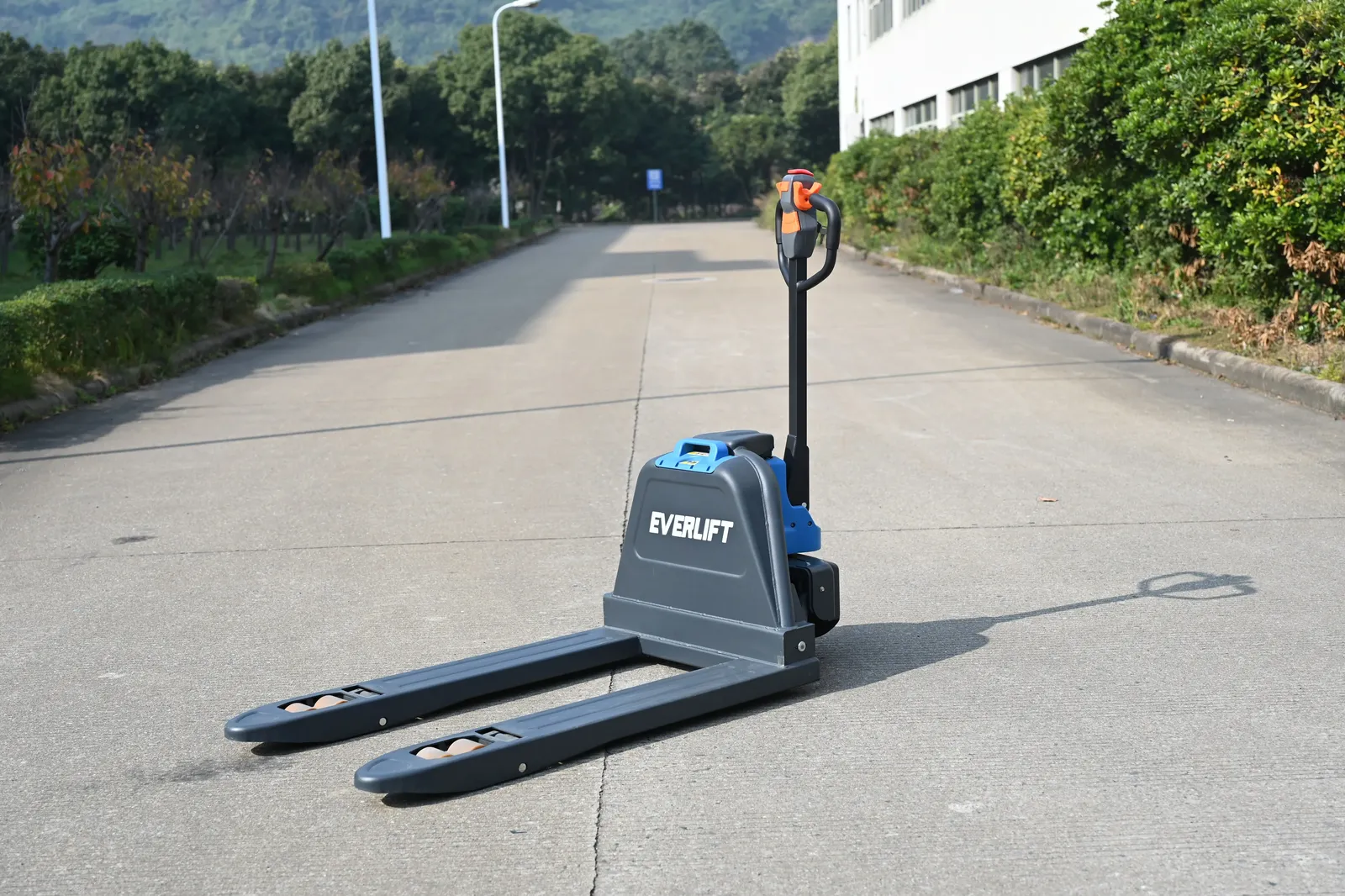 ELEP-15/20ZLI 1.5 Ton detail 2