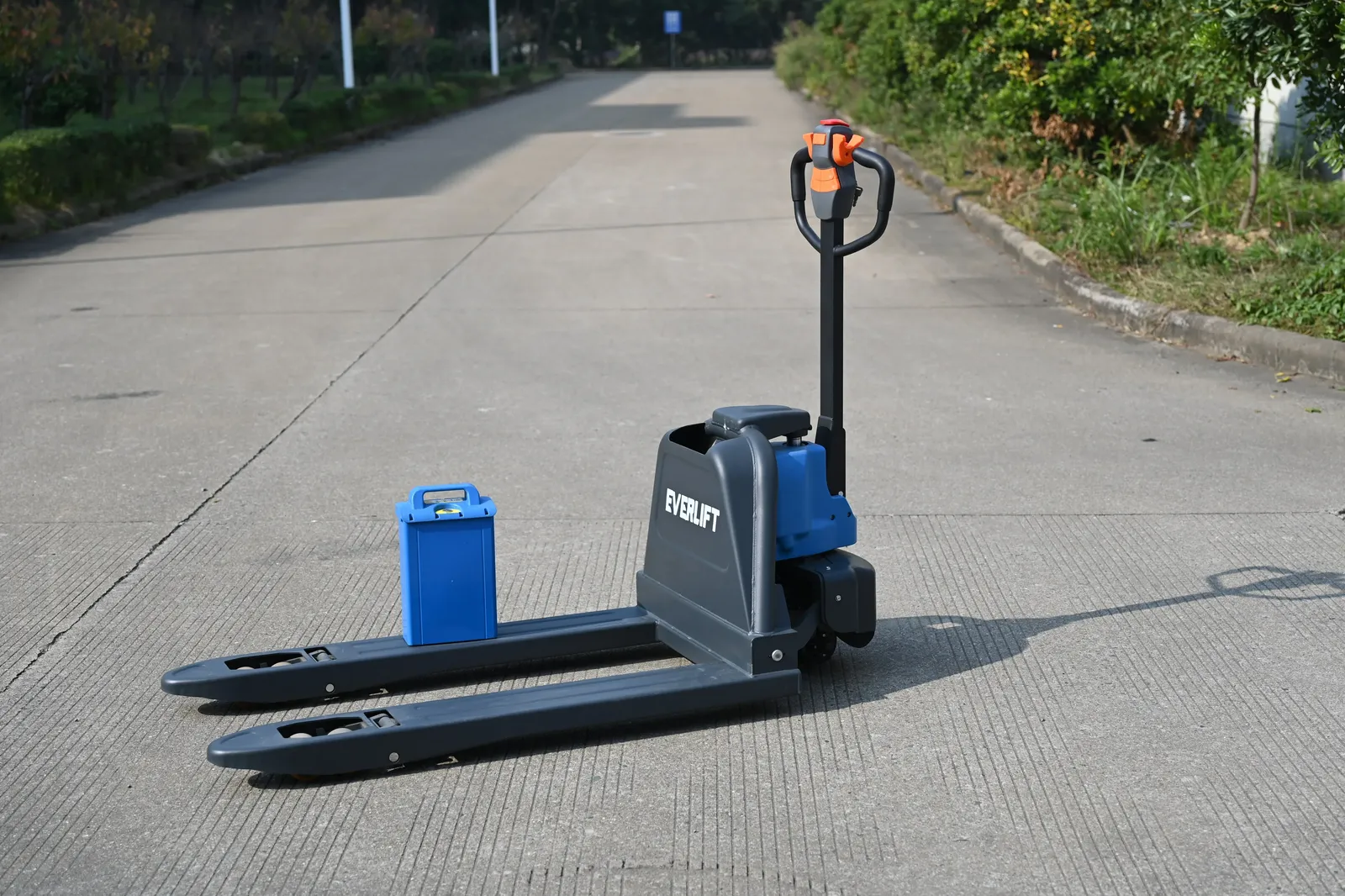 ELEP-15/20ZLI 1.5 Ton photo 3