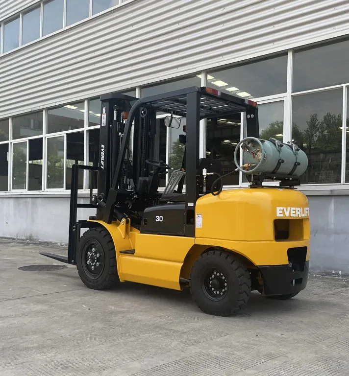EPA EURO Gas Forklift 3Ton detail 4