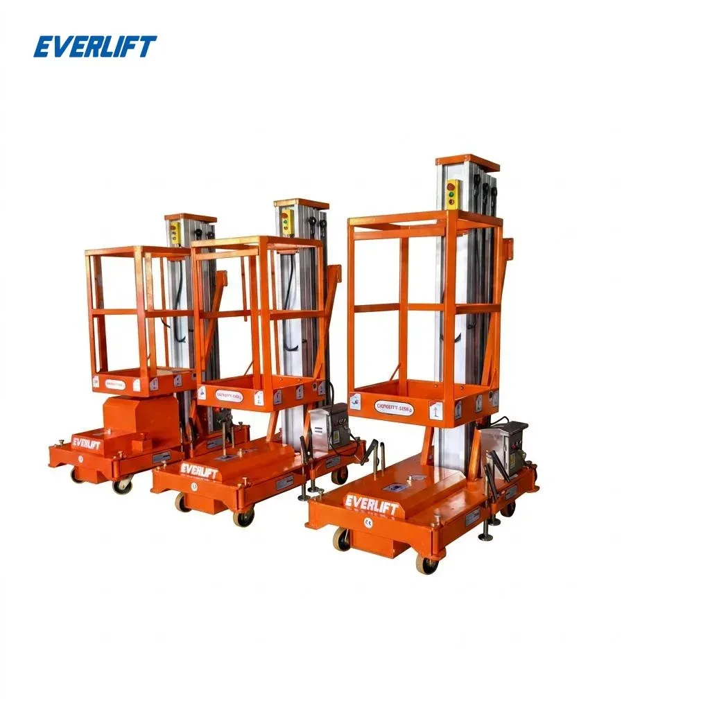 Single Mast Aluminium Alloy Lift 10m Aerial Work Platform 125 kg photo 1