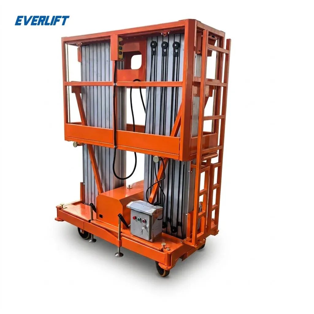Vertical Mast Lift 12m Twin Mast Aluminium Alloy Lift 200 kg photo 1