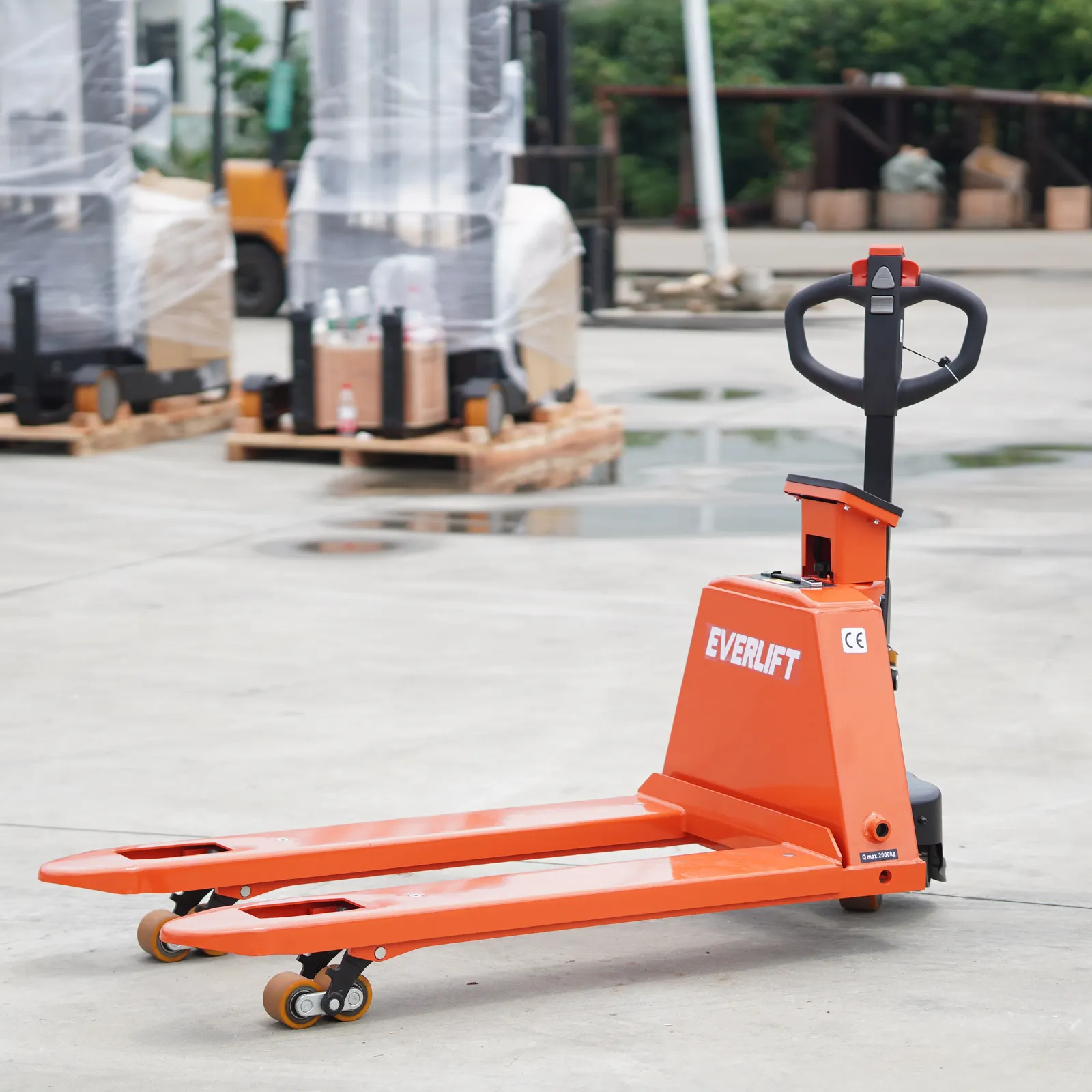 Electric Pallet Jack With Scale 2000 kg detail 3