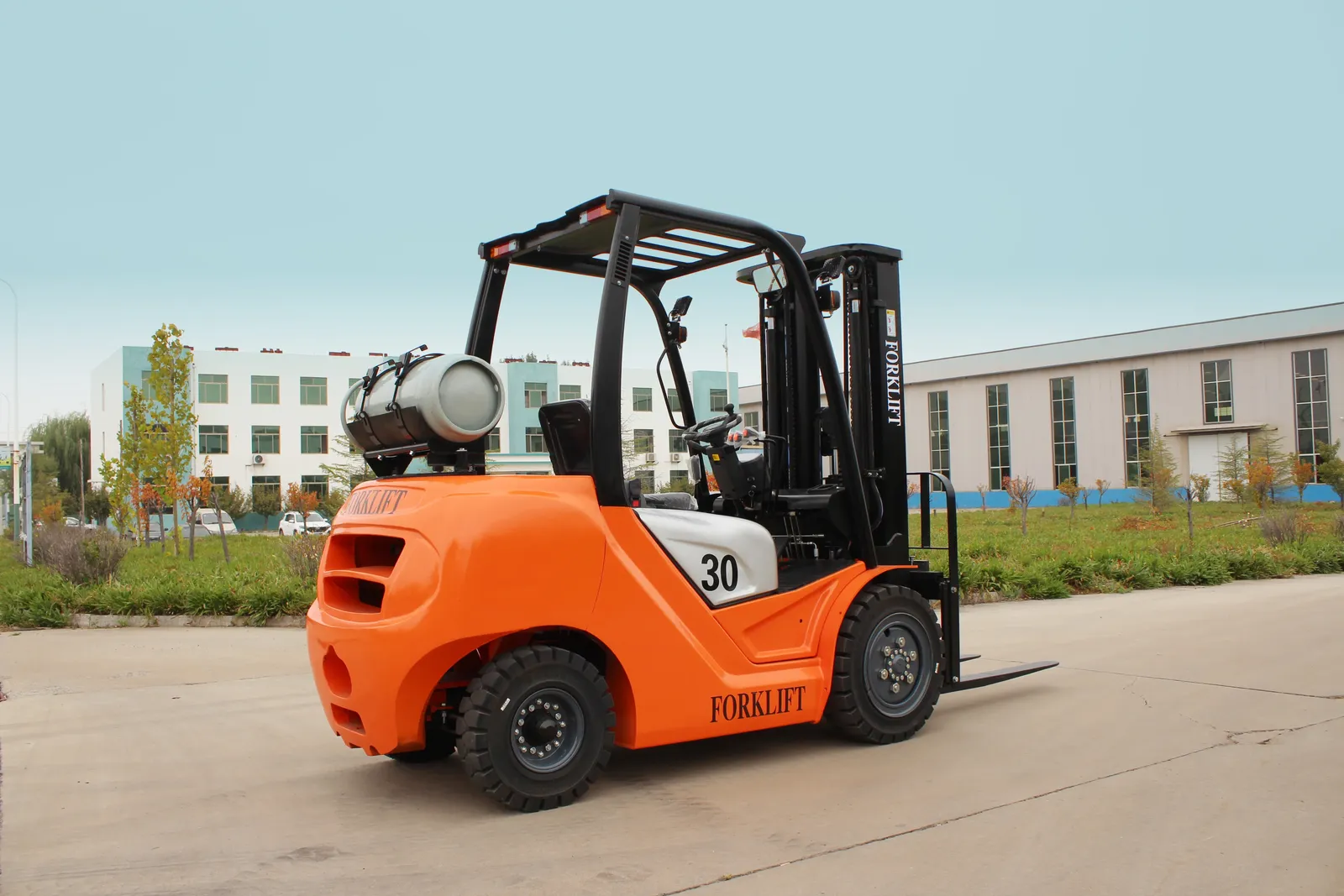Diesel Forklift Truck 5 Ton photo 2